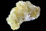 Lustrous Yellow Cubic Fluorite Crystal Cluster - Morocco #84302-1